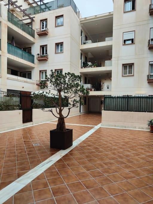 Apartamento 66m2 Terrace 16m2 Sea View 200m From The *